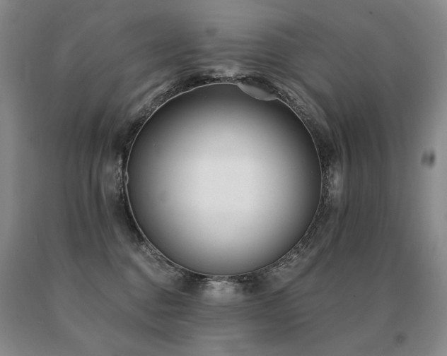 X0000091070376200708061306
