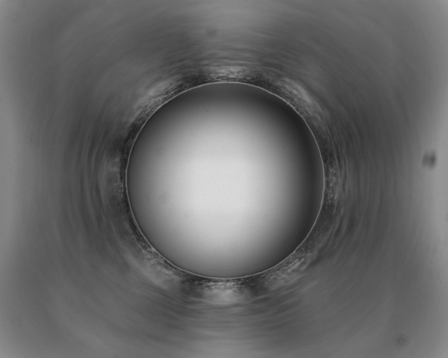 X0000091070377200708061306