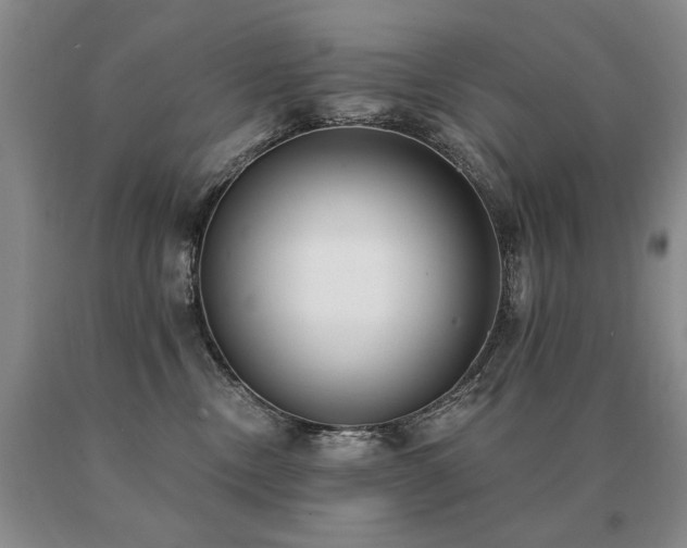 X0000091070378200708061306