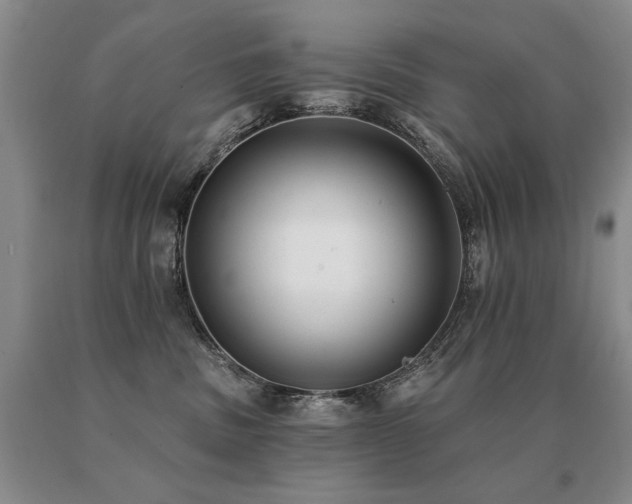 X0000091070379200708061306