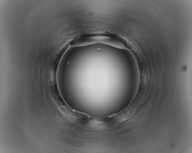 X0000091070380200708061306