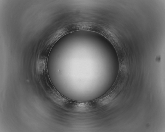 X0000091070382200708061306