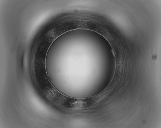 X0000091070383200708061306