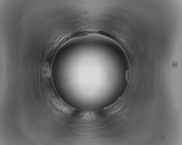 X0000091070384200708061306