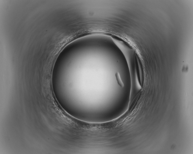 X0000091070385200708061306