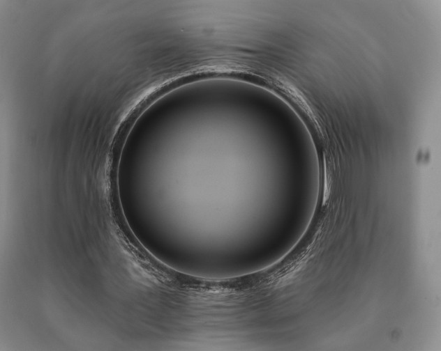 X0000091070387200708061306