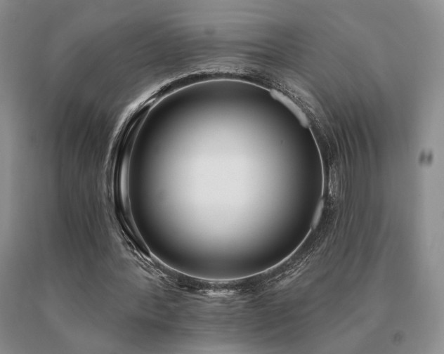 X0000091070388200708061306