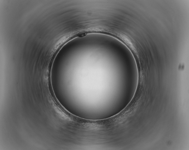 X0000091070389200708061306