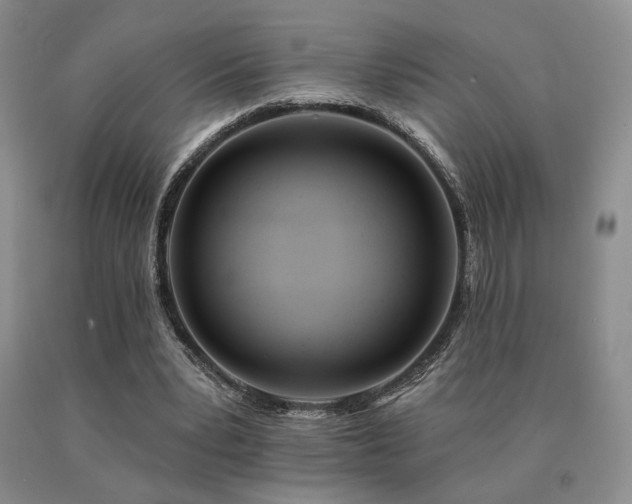 X0000091070391200708061306