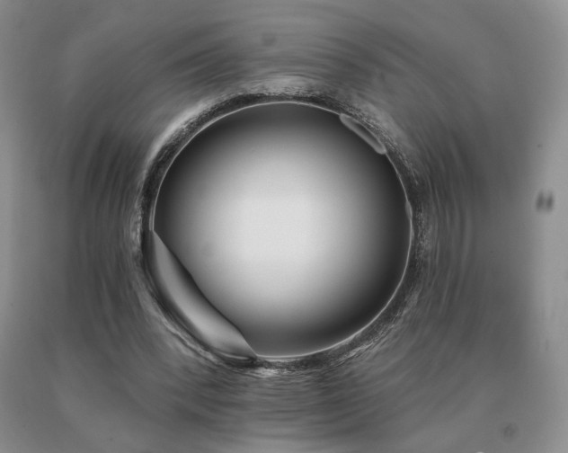 X0000091070392200708061306