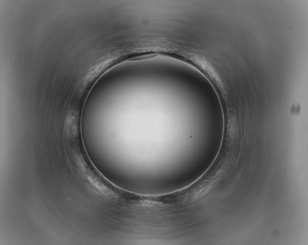 X0000091070393200708061306