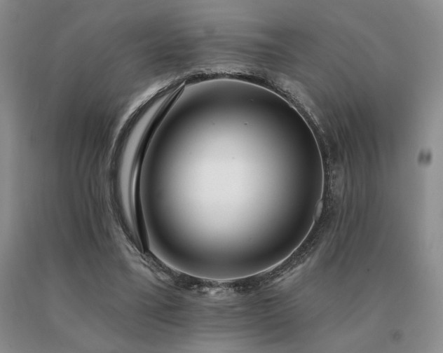 X0000091070395200708061306