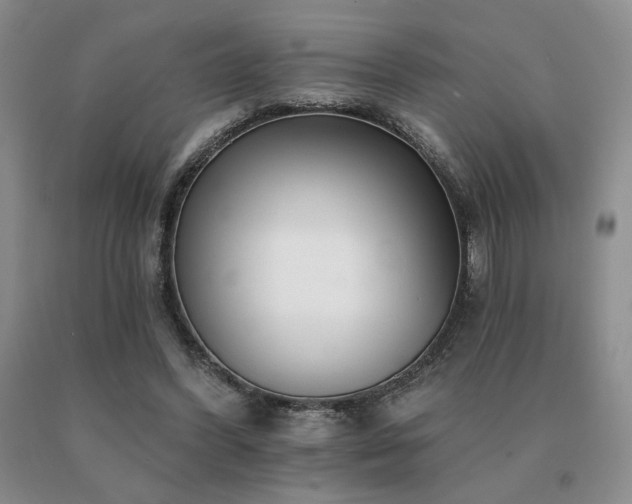 X0000091070396200708061306