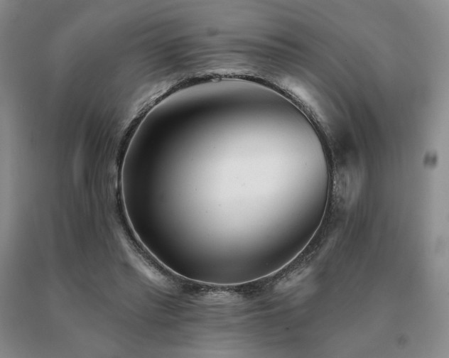 X0000091070397200708061306