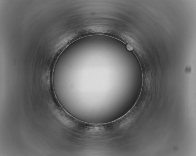 X0000091070398200708061306