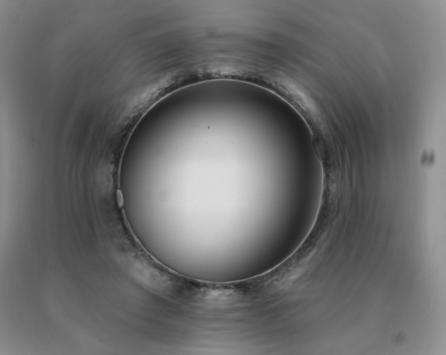 X0000091070401200708061306