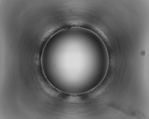 X0000091070403200708061306