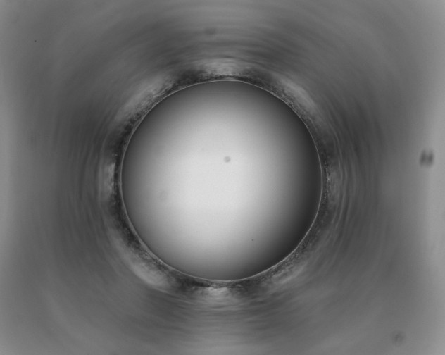 X0000091070406200708061306