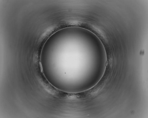 X0000091070407200708061306