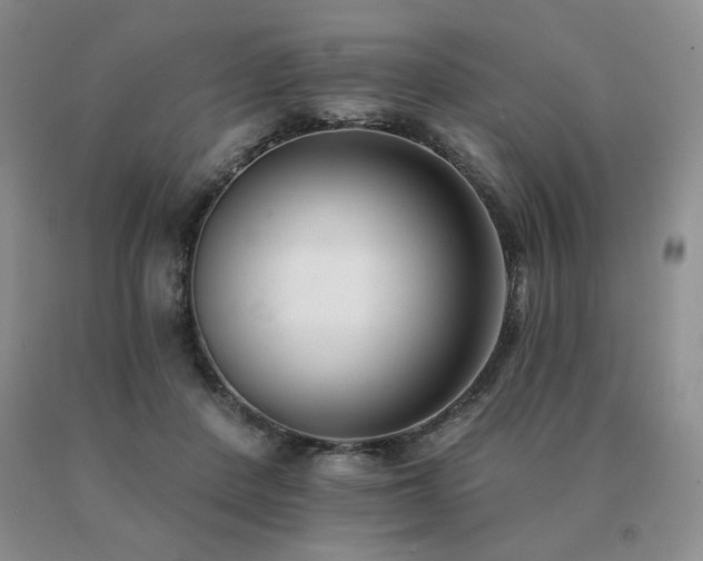 X0000091070408200708061306
