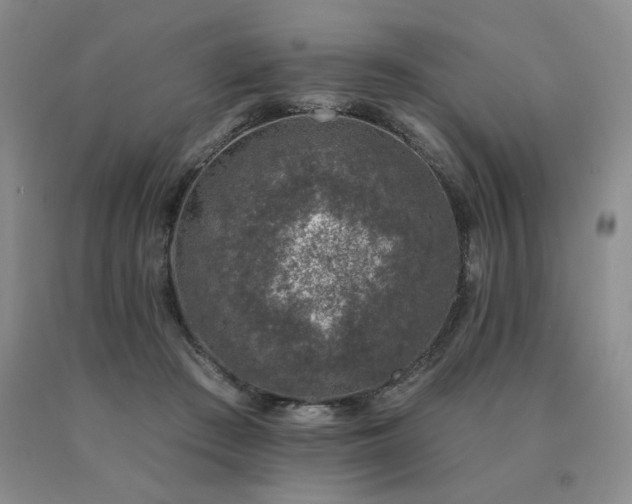 X0000091070409200708061306