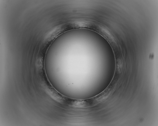 X0000091070410200708061306