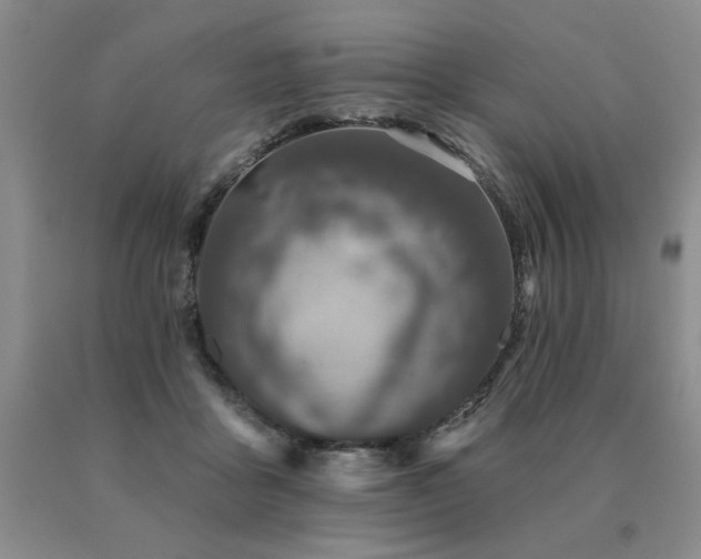 X0000091070411200708061306