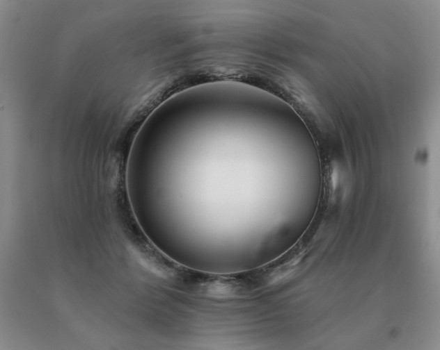 X0000091070412200708061306