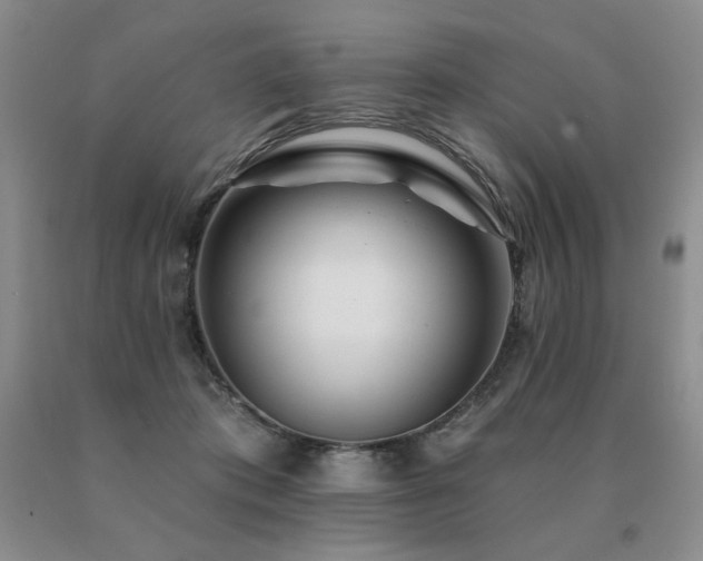X0000091070413200708061306