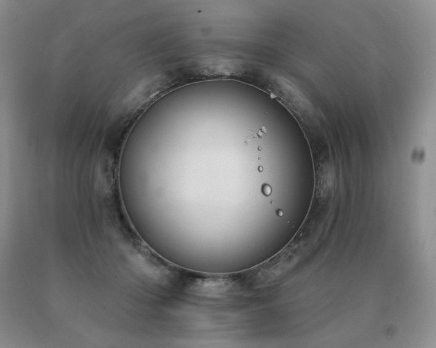 X0000091070414200708061306