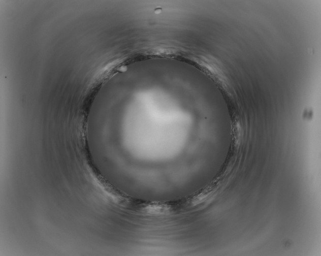 X0000091070415200708061306