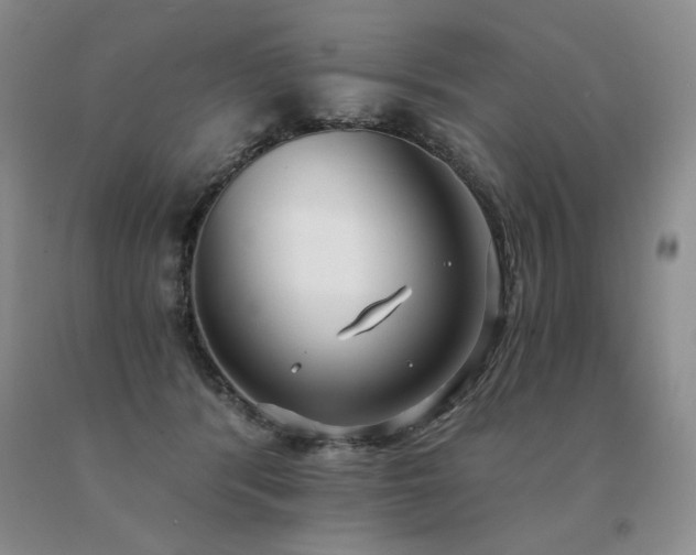 X0000091070416200708061305