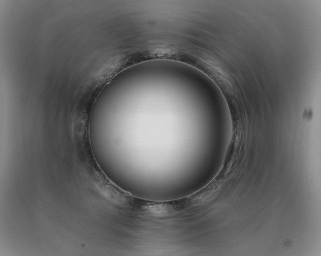 X0000091070417200708061305