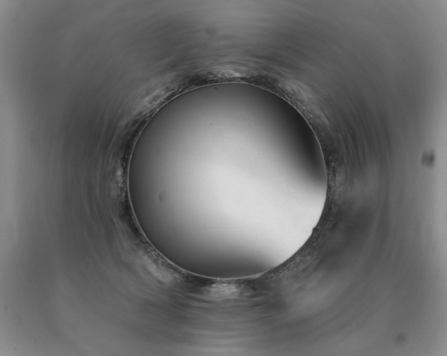 X0000091070418200708061305