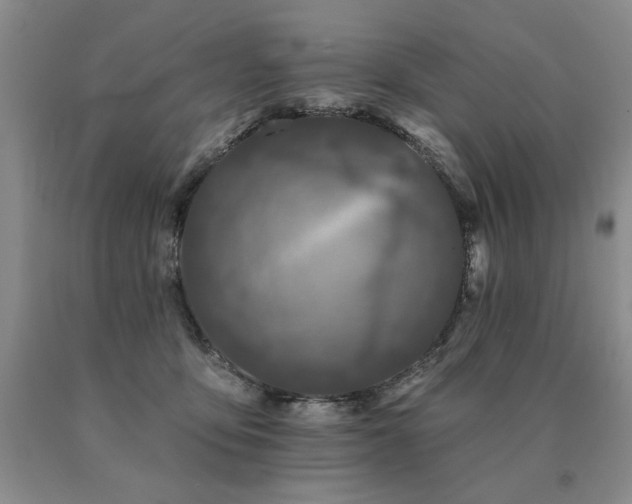 X0000091070419200708061305