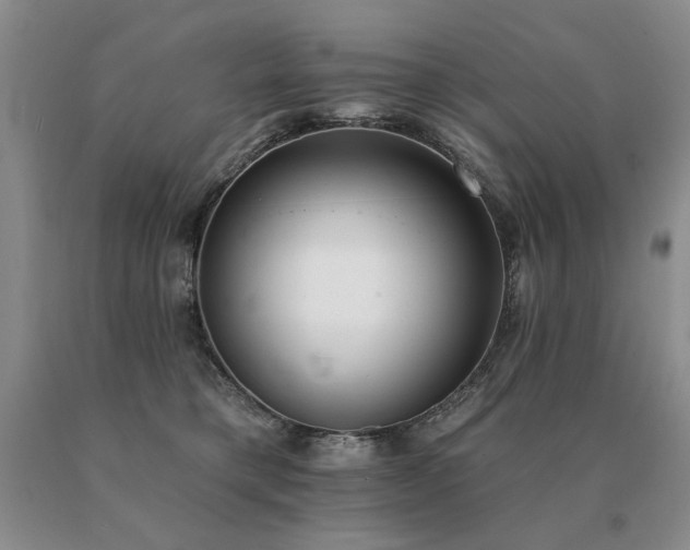X0000091070421200708061305