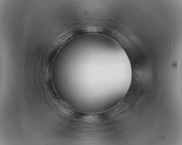 X0000091070422200708061305
