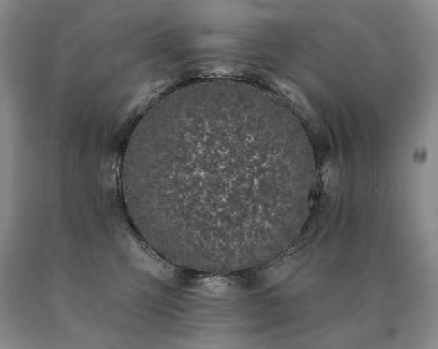 X0000091070423200708061305