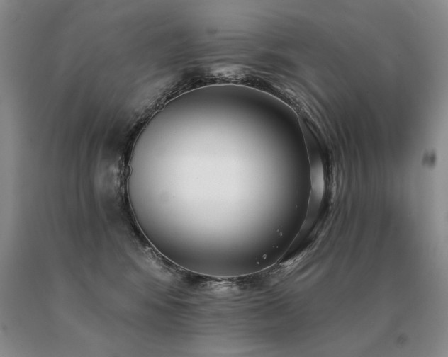 X0000091070424200708061305
