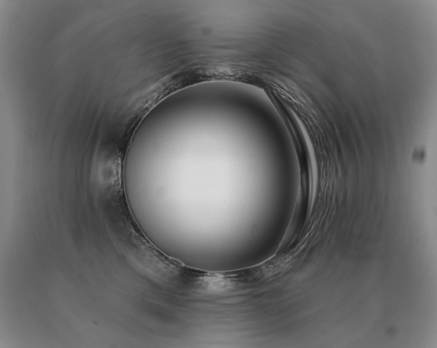 X0000091070425200708061305