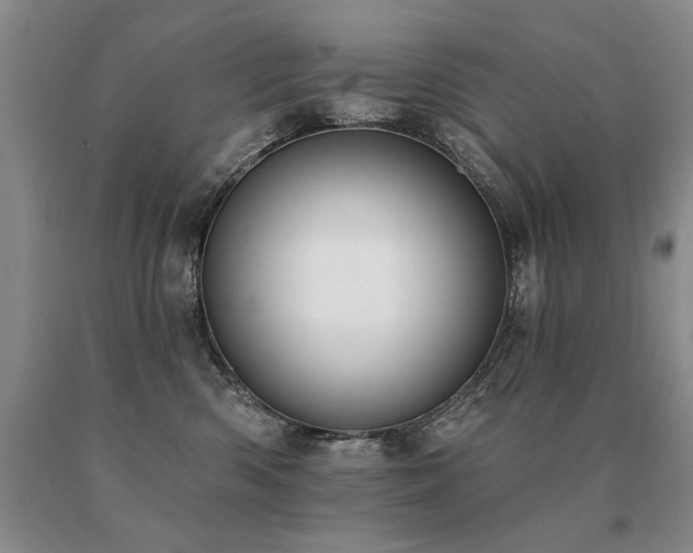 X0000091070426200708061305