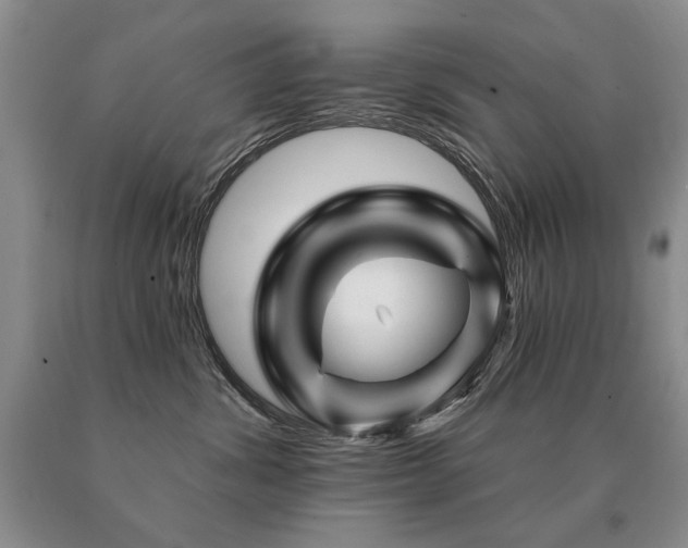 X0000091070428200708061305