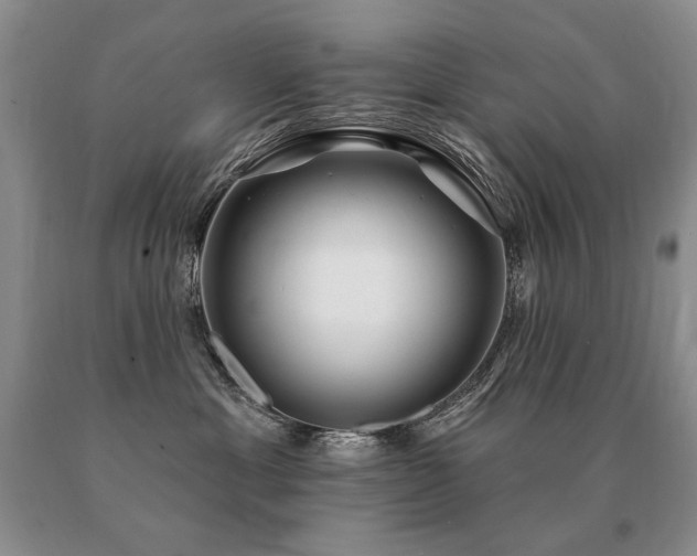 X0000091070429200708061305
