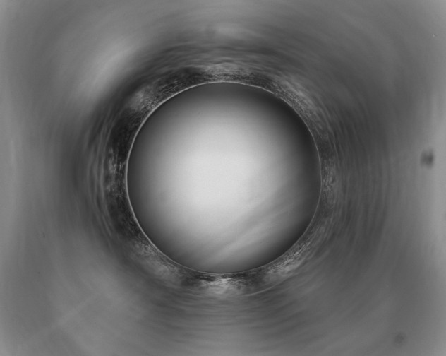 X0000091070430200708061305