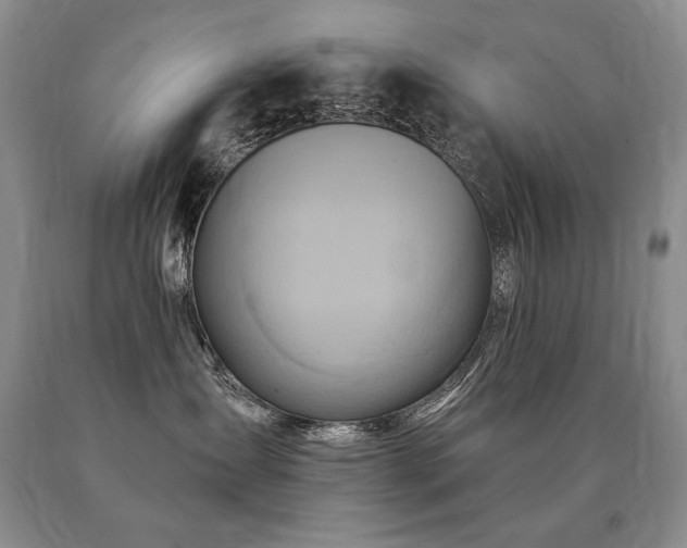 X0000091070431200708061305