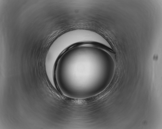 X0000091070432200708061305