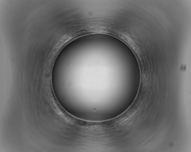 X0000091070433200708061305