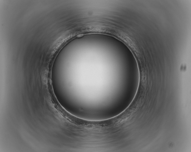 X0000091070434200708061305
