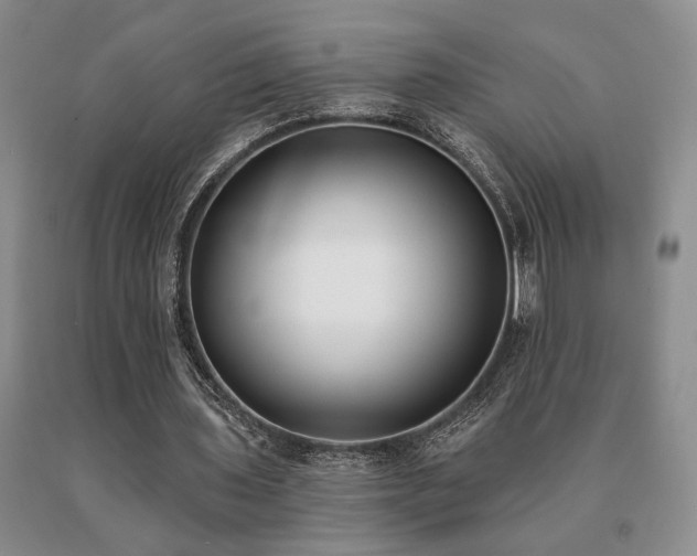 X0000091070435200708061305