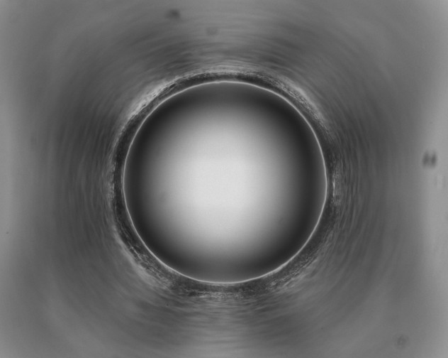 X0000091070436200708061305